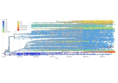 nextstrain sars-cov-2 variant tracking covid-19 coronavirus pandemic n510y 501Y.V2 b.1.1.7 B.1.351 e484k k417n p.1 virology nextstrain sars-cov-2 variant tracking covid-19 coronavirus pandemic n510y 501Y.V2 b.1.1.7 B.1.351 e484k k417n p.1 virology